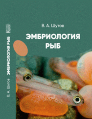 Эмбриология рыб: учебное пособие ISBN 978-5-6051126-1-7