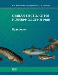 Общая гистология и эмбриология рыб. ПРАКТИКУМ: Учебное пособие ISBN pn_0037