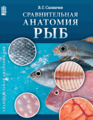 Сравнительная анатомия рыб: учебное пособие ISBN 978-5-903090-72-3